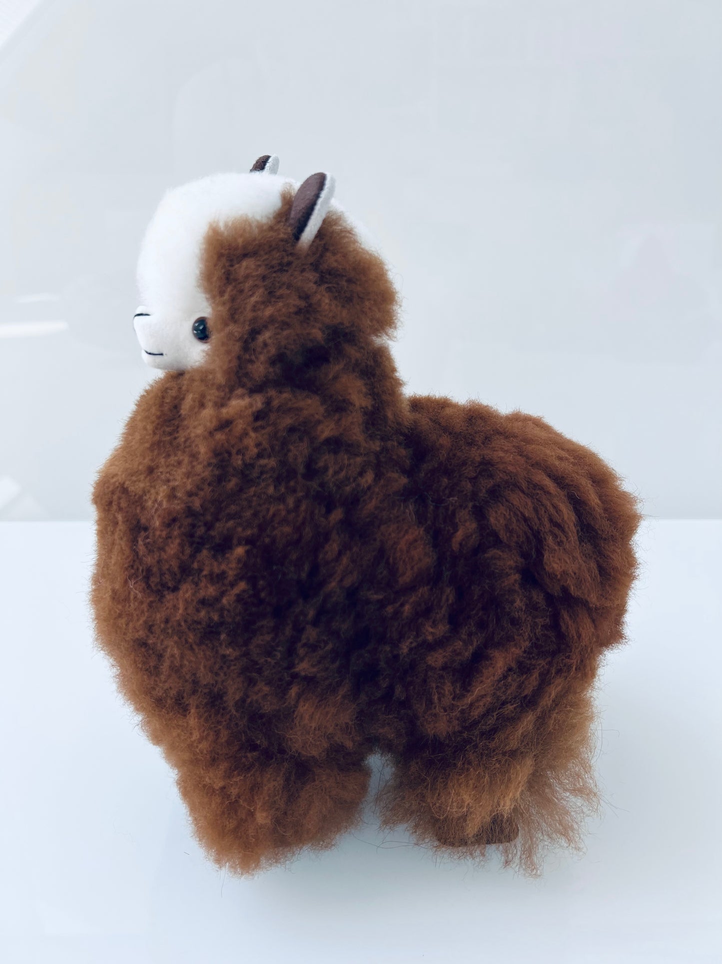 Alpaca cuddly toy Coffee +