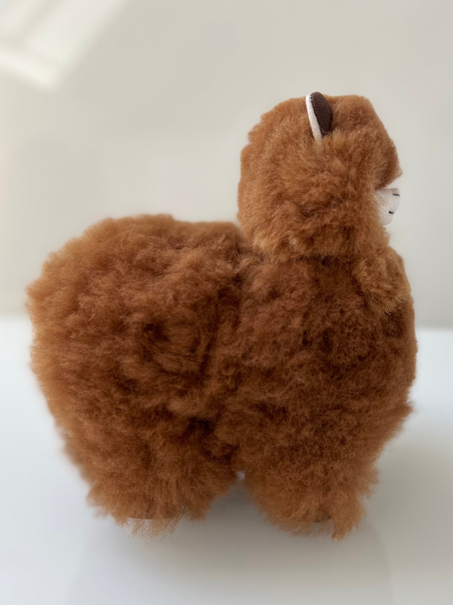 Alpaca cuddly toy coffee