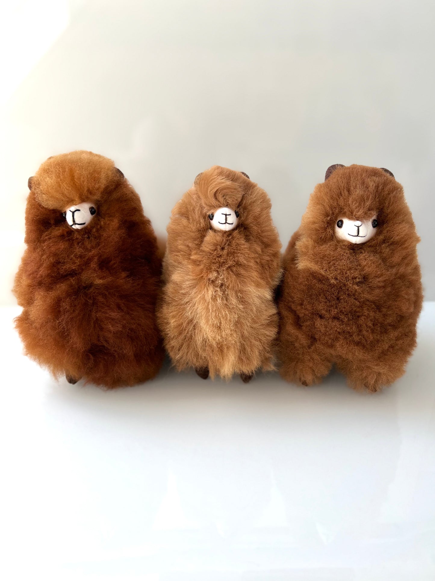 Alpaca cuddly toy coffee