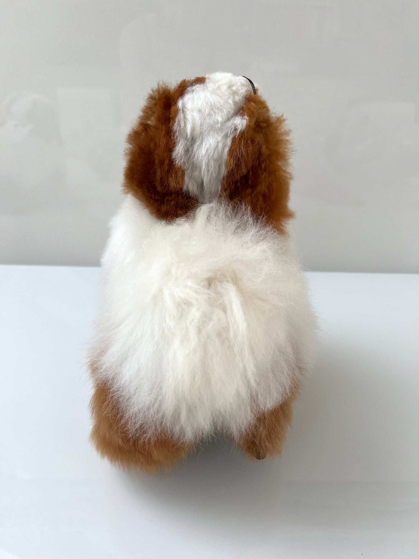 Alpaca cuddly toy white coffee