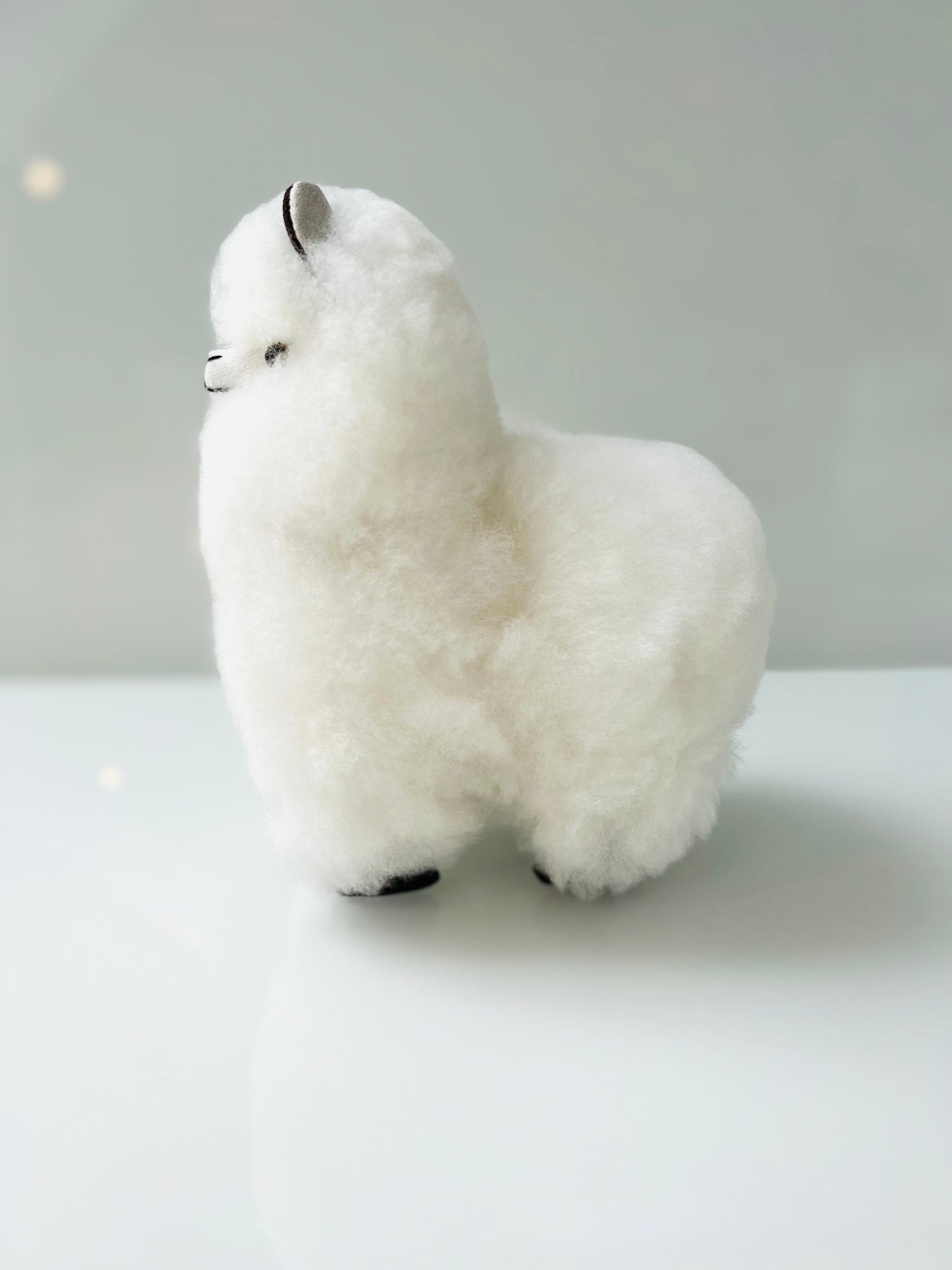 Alpaca cuddly toy Wolky