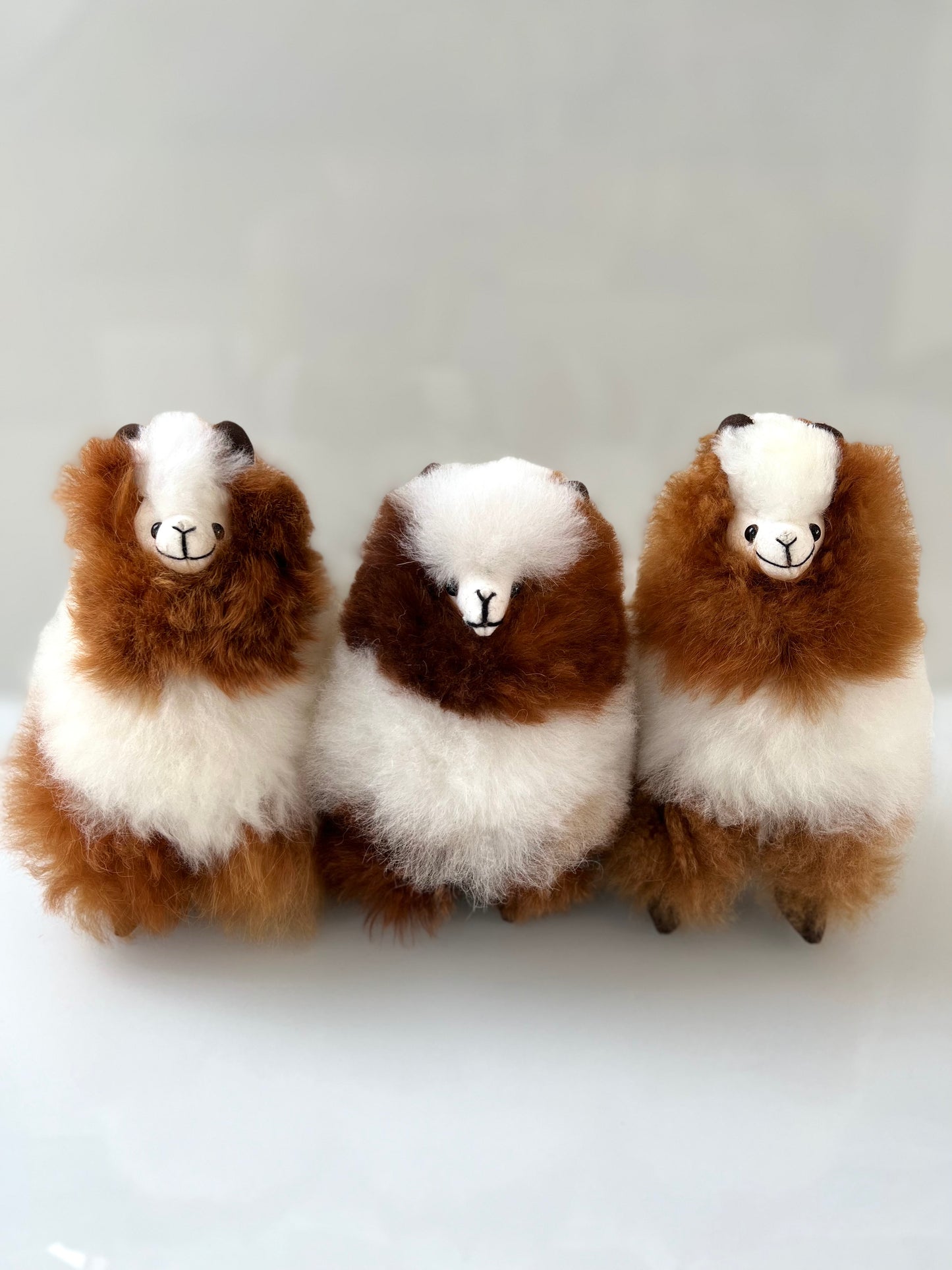 Alpaca cuddly toy white coffee