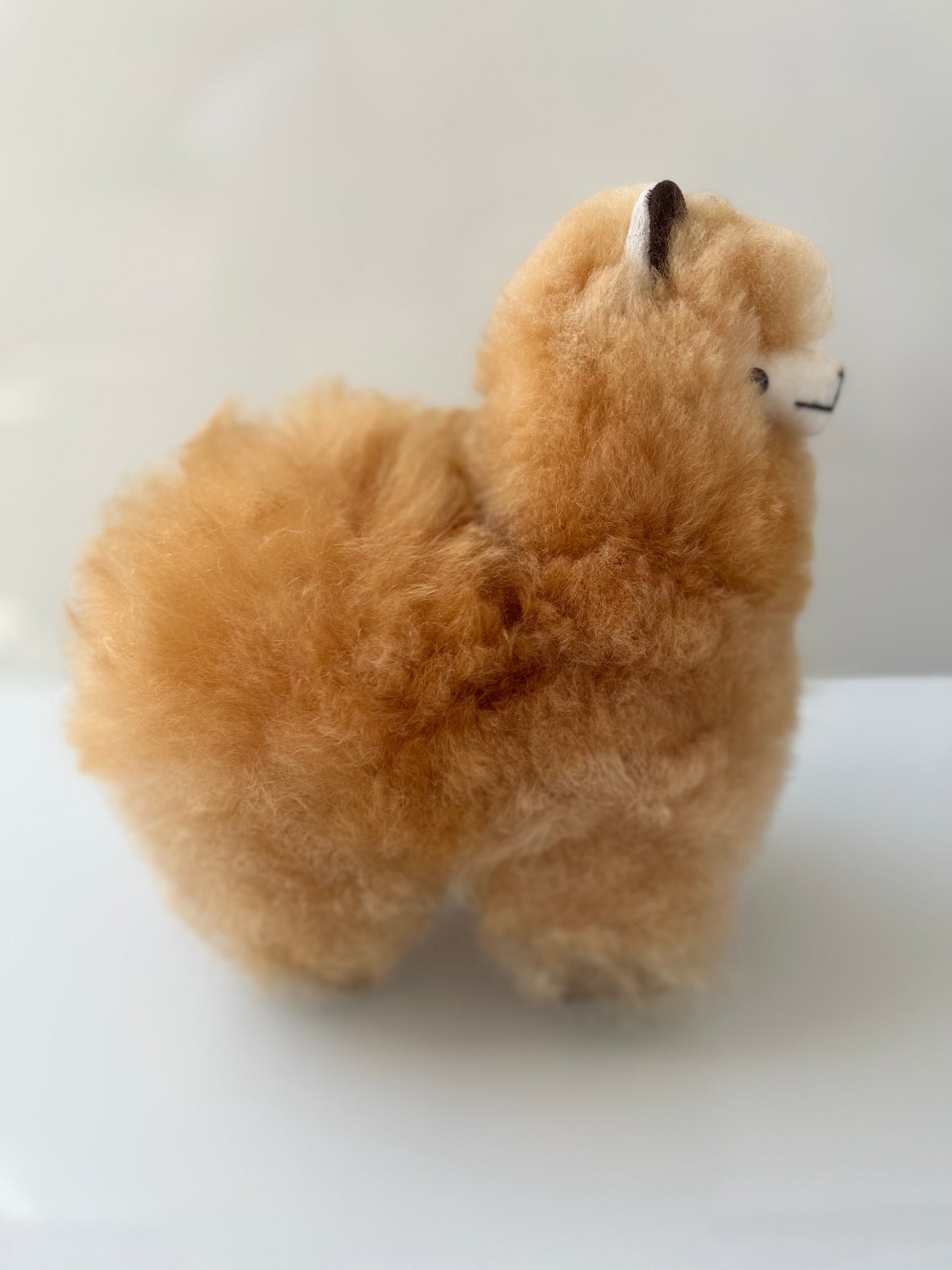 Alpaca cuddly toy vanilla