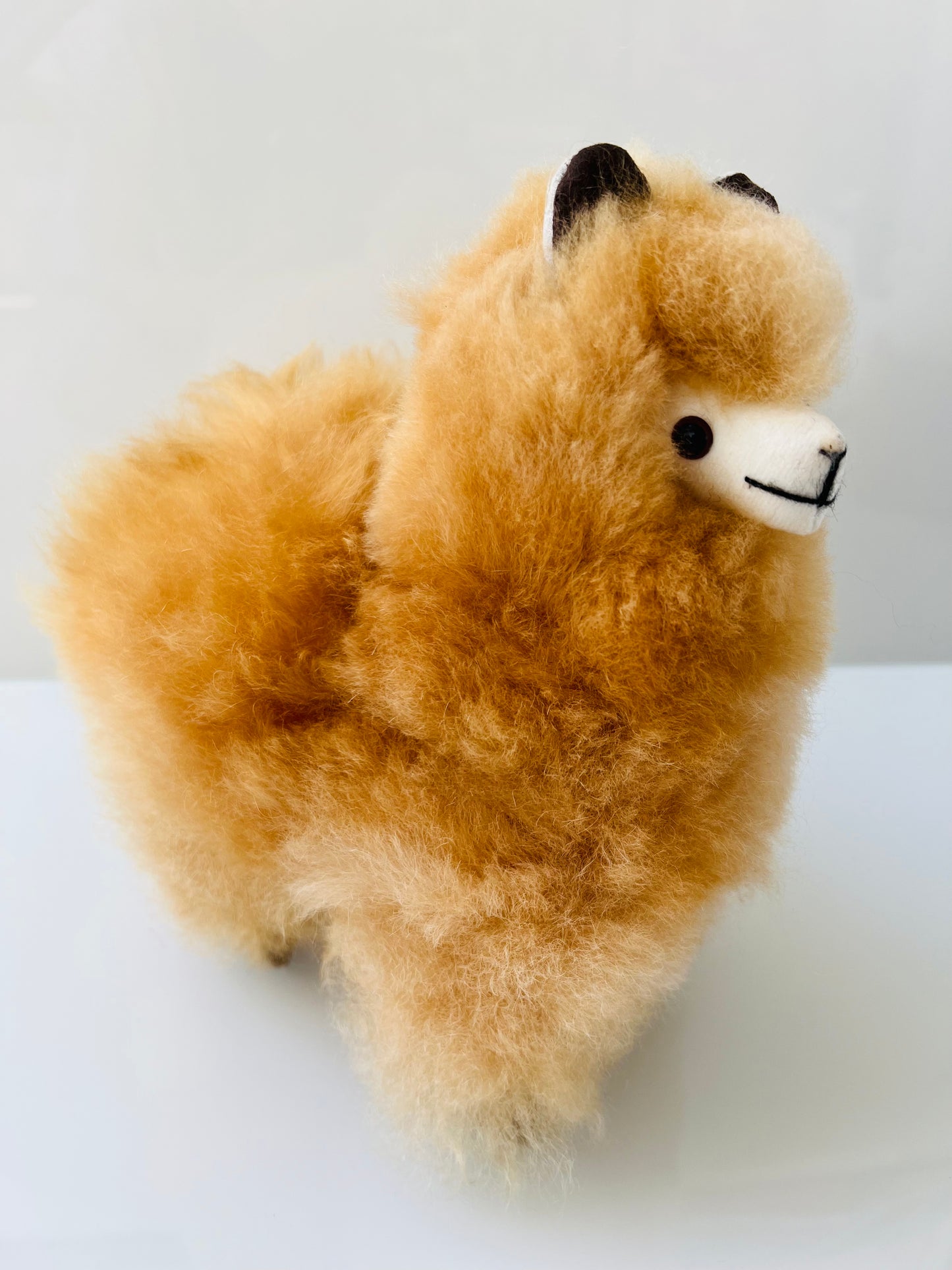 Alpaca cuddly toy vanilla