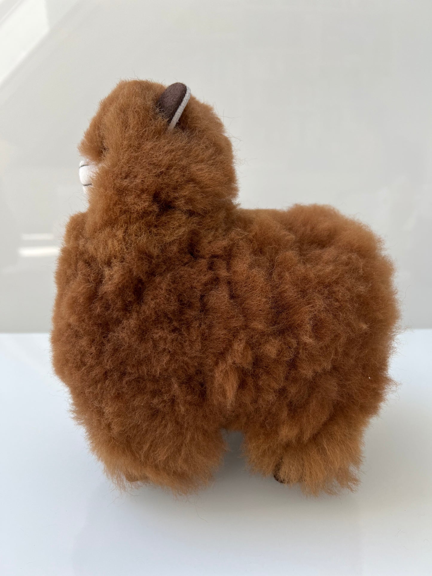 Alpaca cuddly toy coffee