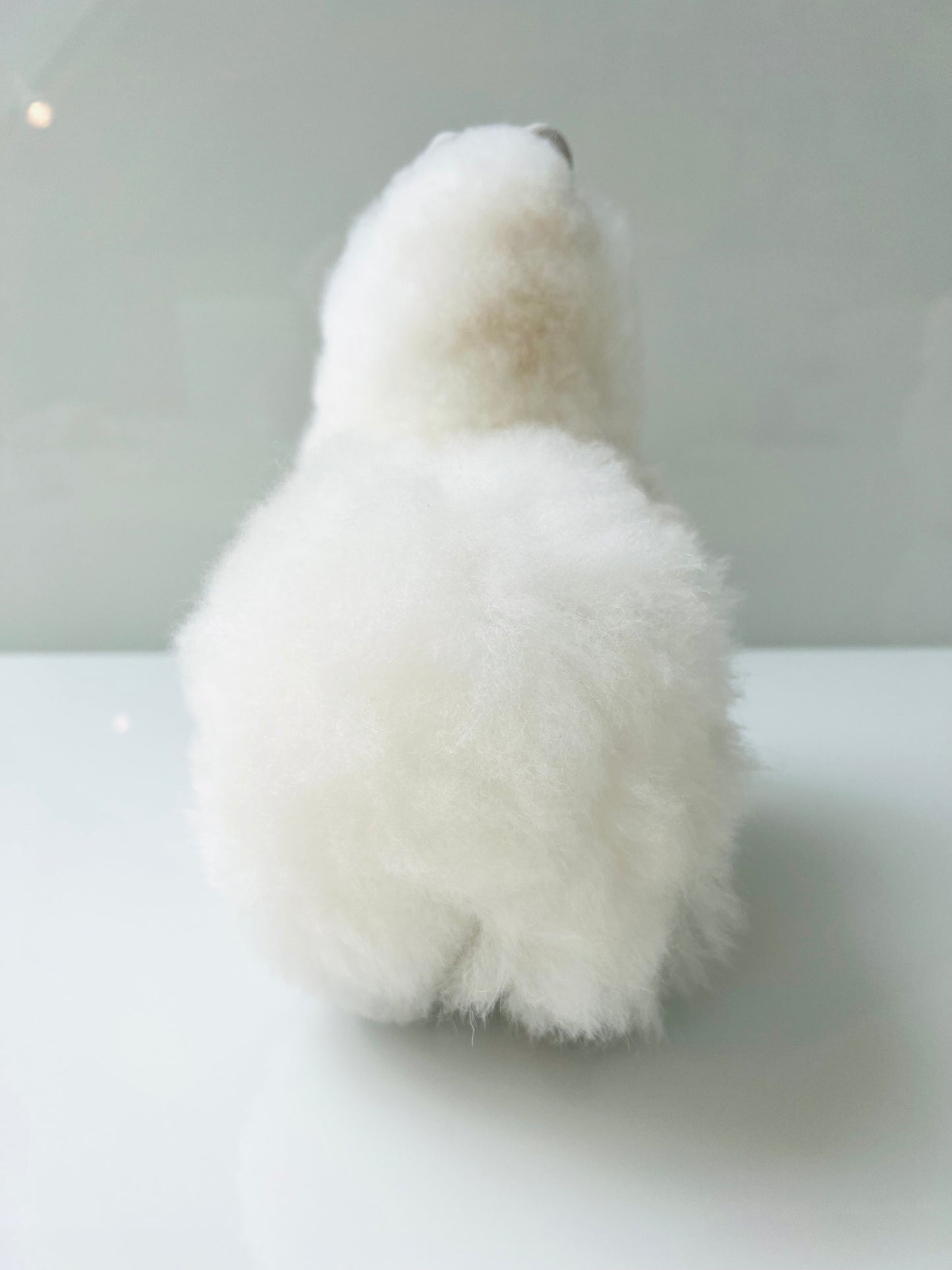 Peluche alpaca Wolky