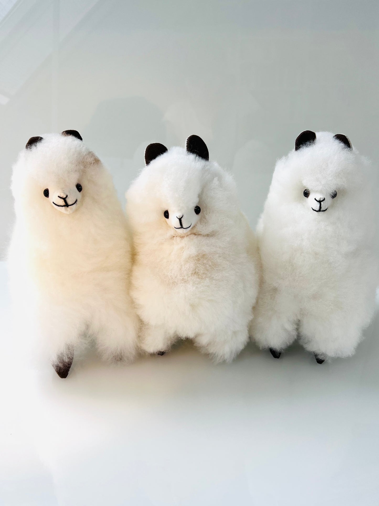 Peluche alpaca Wolky