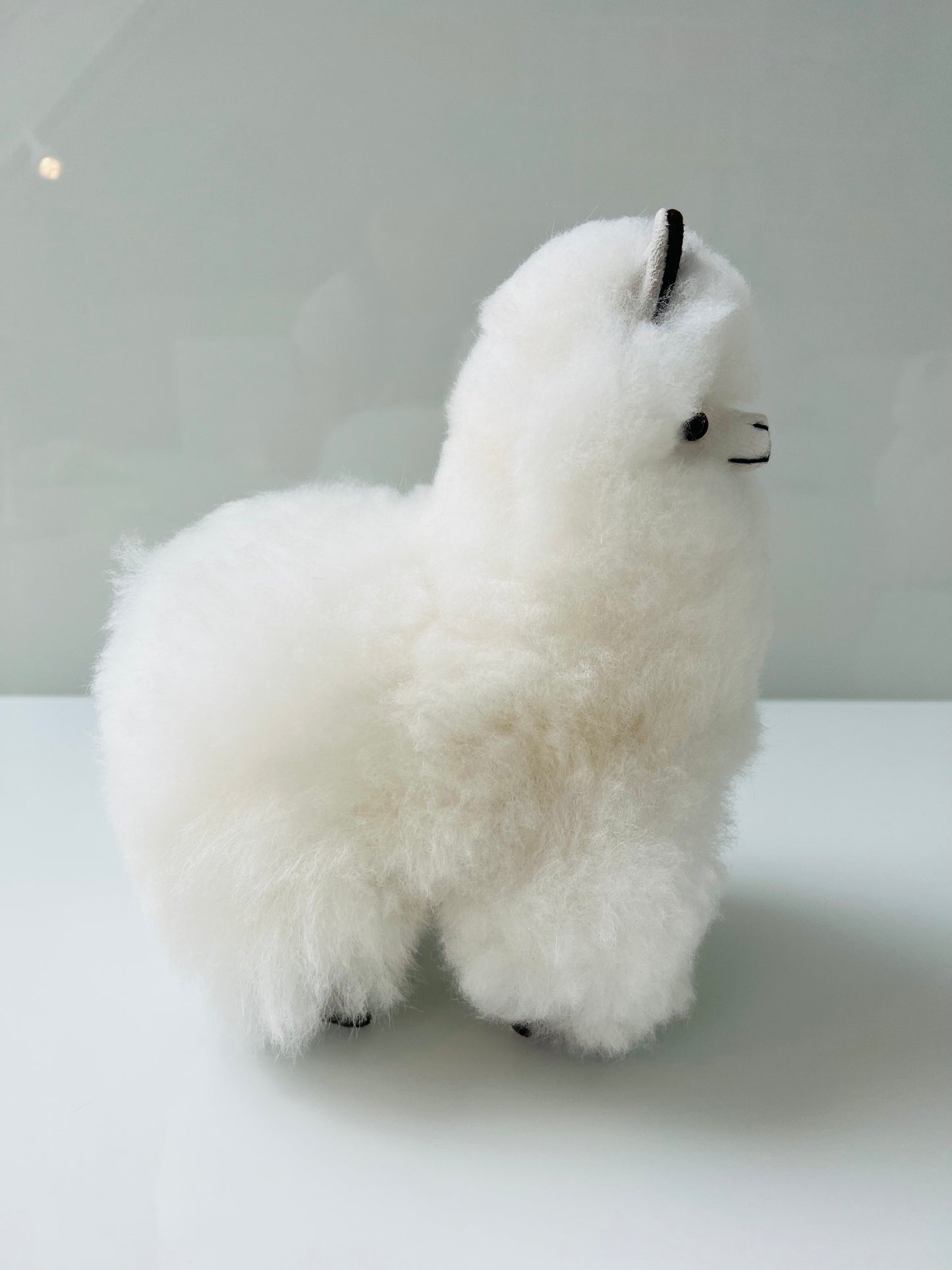 Alpaca cuddly toy Wolky