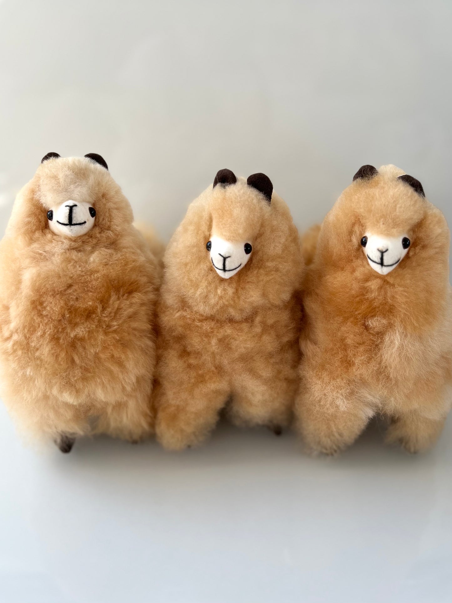 Alpaca cuddly toy vanilla